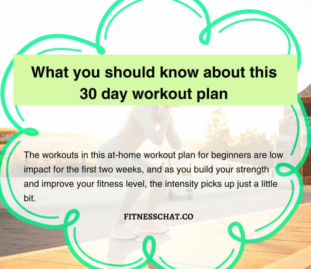 Best 30 Day Workout Plan for Beginners at Home (PDF)
